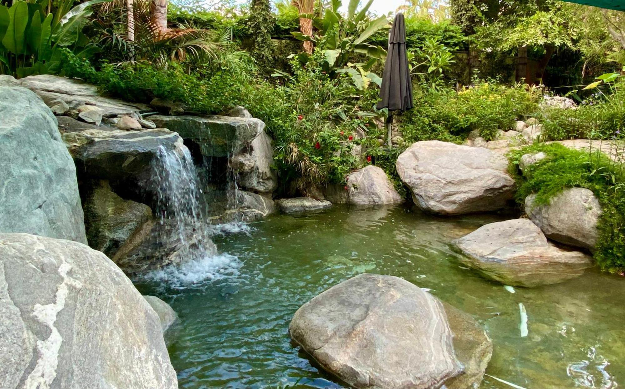 Vista Grande Resort - A Gay Men's Resort Palm Springs Exterior foto